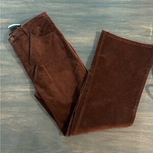 NWT. Loft Brown Corduroy Pants. Size 12P.